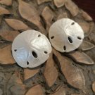 Sand Dollar Clip on Earrings #263