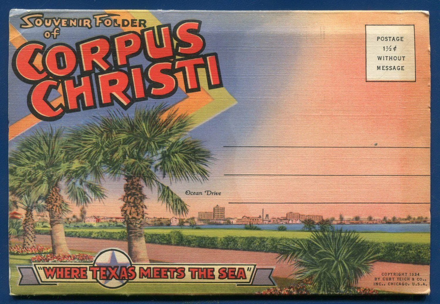 Corpus Christi Texas Palm Trees postcard folder