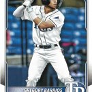 Gregory Barrios 2025 Bowman Prospects #BP-7 Tampa Bay Rays Baseball Card