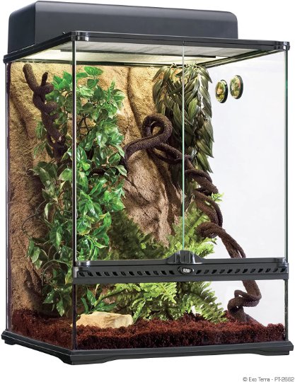 Rainforest Habitat Kit for Snakes, Frogs, Lizards & Geckos - 18.5 x 19 ...