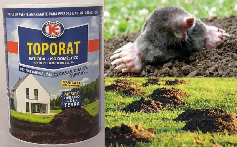 Toporat Professional Rodenticide 150g Mole Mouse Fresh Bait Sachet Hole