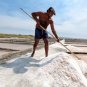 Sea Salt Flower Culinary Fleur De Sel Portuguese 250g - 8.8 Oz Algarve Portugal