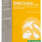 Enroxina 100 ml for Bird Pigeon by Zoopan
