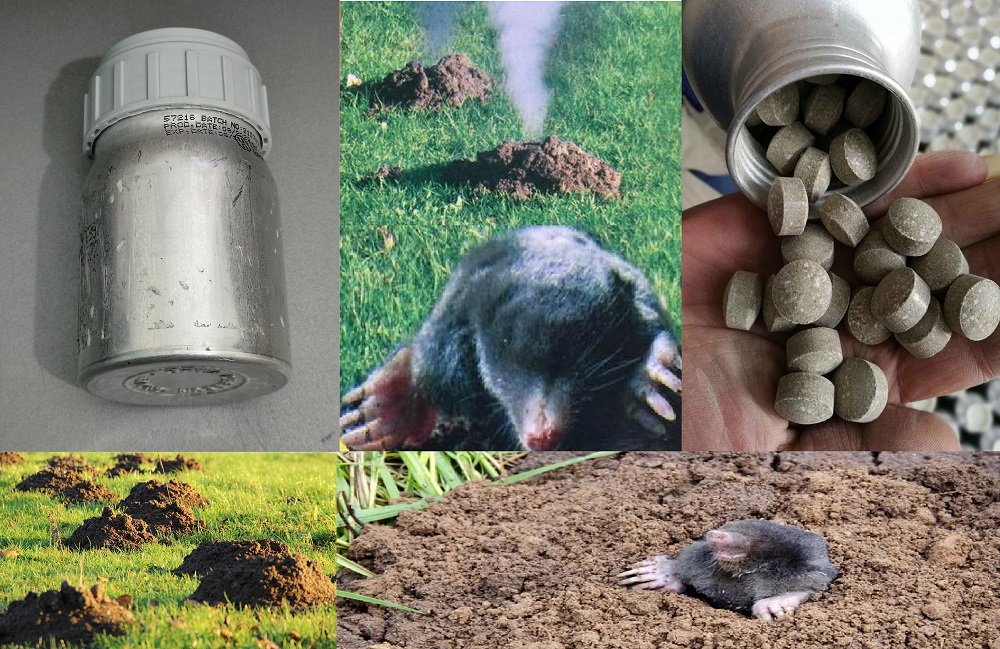 Smoke Professional Gas ArvaPhos Blind Mole Repellent 30 tablets