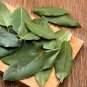 Whole Dried Bay Leaves (LEAF) Portugal 100g (3.53 Oz - 0.22 Lbs) Laurus Nobilis