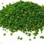 Raff Verdurello with Vegetables Natural Bird Food for Birds Poultry 400g