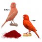 Pineta Red Factor for Canary Bird Feather Coloring 50g