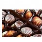 Belgian Chocolates Sea Shells Praliné Seashells 250g - 8.82 Oz Christmas Mother