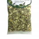 Fennel Tea Plant Foeniculum vulgare Portugal Herbal Dried 100g Infusions Fennel Tea Plant Foeniculum vulgare Portugal Herbal Dried 100g Infusions