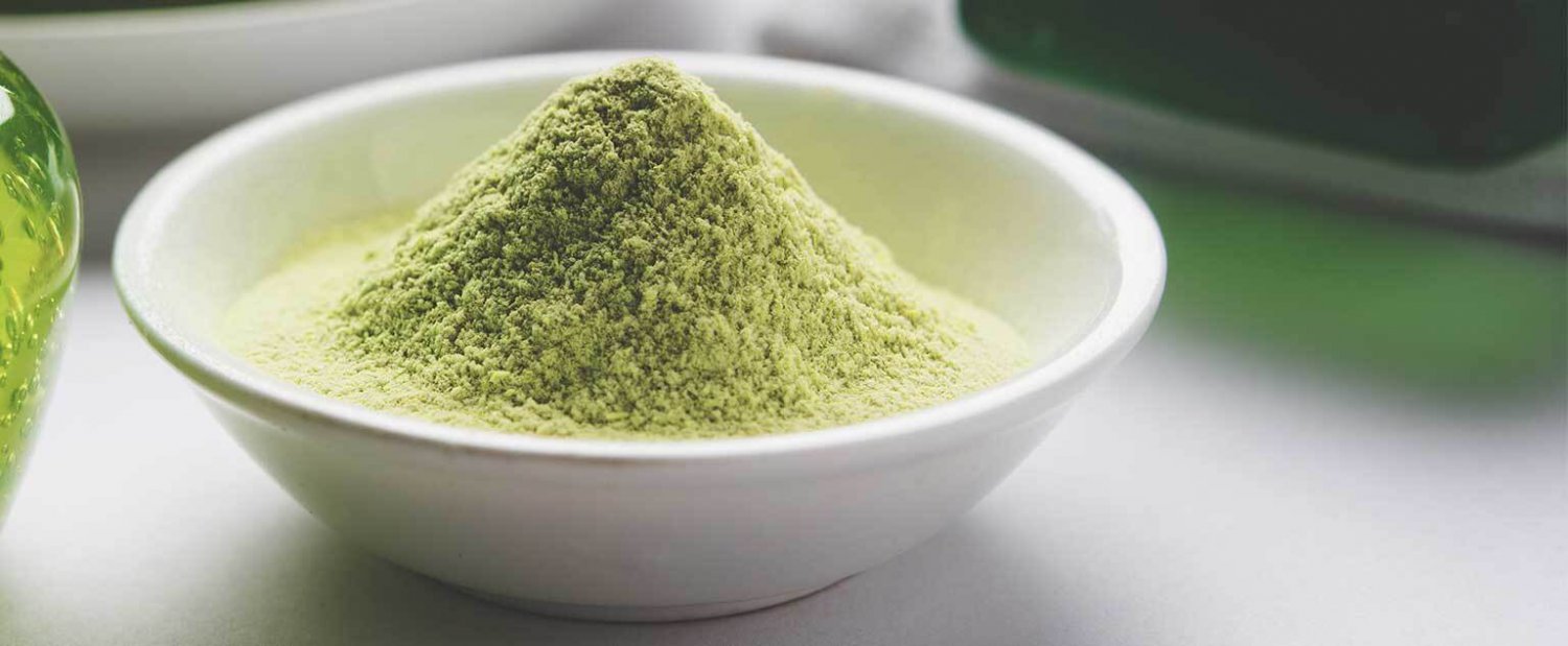 Aloe Vera Leaf Powder ( Aloe Barbadensis ) Plant Natural Powder Free Shipping