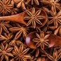 Anise, Star Pods , Chakra Phool herbs and spices free shipping