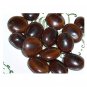Mountain Tamarind Seed, Pahadi imli Beej FREE SHIPPING
