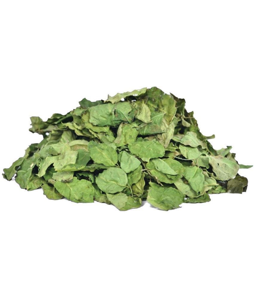 HENNA LEAVES Whole Heena Mehendi Mehndi Tattoo Body Art BEST QUALITY SHIP FREE