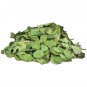 HENNA LEAVES Whole Heena Mehendi Mehndi Tattoo Body Art BEST QUALITY SHIP FREE