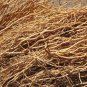 Khus Root / Vetiver Root Khas Khas Grass Kus Vetiveria Zizanioides