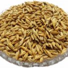 Unhulled Barley Freshly Packed Whole Barley With Husk Jau FREE SHIPPING