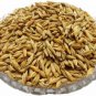 Unhulled Barley Freshly Packed Whole Barley With Husk Jau FREE SHIPPING