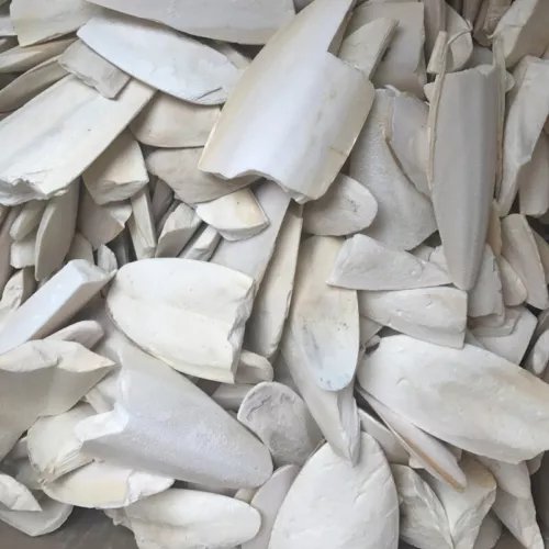 SAMUNDAR JHAAG SAMANDAR JHAG SEA DRIED FOAM - Whole - Free Shipping