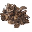 DEVILS CLAW  ORGANIC Bulk Herb,Harpagophytum procumbens Radix