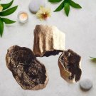 Balam Kheera | Kigelia Africana | Sausage Tree dried fruit