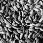 Air Dried Pure Indian 7mm+ Green Cardamom/Elaichi 100 g Express shipping