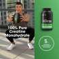 Optimum Nutrition Micronized Creatine Monohydrate Powder,  60.0 Servings (Pack of 1)