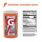 Gatorade Thirst Quencher Powder in Fruit Punch flavor,  4.78 Pound (Pack of 1)