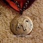Airedale Terrier Photo Locket Necklace (Irish Welsh Wire Fox Terrier) Jewelry for Dog Lovers