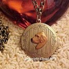 Golden Retriever Photo Locket Necklace Chesapeake Bay Retriever ...Jewelry for Dog Lovers