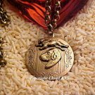 Rhodesian Ridgeback and Lion Photo Locket Necklace ... Jewelry for Dog Lovers