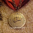 Weimaraner Vizsla Photo Locket Necklace ....Jewelry for Dog Lovers
