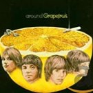grapefruit - around grapefruit CD digipak 2005 repertoire 24 tracks used like new REP5044