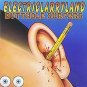 butthole surfers - electriclarryland CD promo 1996 capitol 13 tracks like new CDP 7243 8 29842 2 1