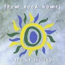 from good homes - open up the sky CD 1995 RCA 11 tracks used like new 07863 66438-2