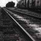 mark kozelek - what's next to the moon CD digipak 2001 badman used BRCD990