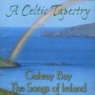 a celtic tapestry - galway bay - the songs of ireland CD 2008 reader's digest 10 tracks new