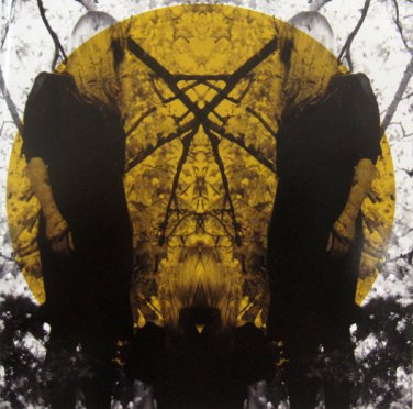 austra - feel it break CD 2011 domino 11 tracks used like new DNO292