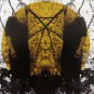 austra - feel it break CD 2011 domino 11 tracks used like new DNO292