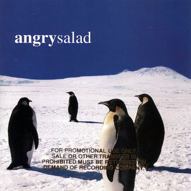 angry salad - angry salad CD promo 1999 atlantic 10 tracks used like new 83193-2