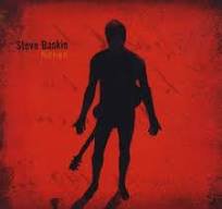 steve baskin - naked CD digipak 2009 vanelle's songs 10 tracks used like new