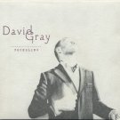 david gray - foundling CD 2-discs cardsleeve 2010 mercer street used like new DWT70193 david gray - foundling CD 2-discs cardsleeve 2010 mercer street used like new DWT70193