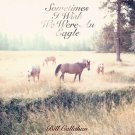 bill callahan - sometimes i wish we were an eagle CD cardsleeve 2009 drag city 9 tracks new DC385CD