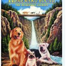 homeward bound - duwayne dunham, director DVD NTSC 2000 disney 84 minutes rated G like new