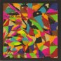 wadada leo smith, anthony braxton - organic resonance CD 2003 pi new PI06