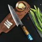 Japaese 8 Inch Kiritsuke VG10 67 Layer Damascus Chef Kitchen Knife Blue Resin