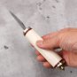 Hunting Knife 2 Inch San Mai Fixed Blade Home Outdoor Minimalist Tool