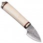 Hunting Knife 2 Inch San Mai Fixed Blade Home Outdoor Minimalist Tool