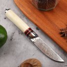Hunting Knife Fixed Blade Chef's BBQ Tool Outdoor Camping Fishing Groomsmen Gift