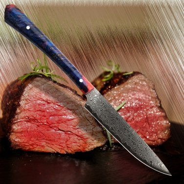 Chef Kitchen Knives Steak Knife Stainless Steel Utility Tomato Paring Slicing
