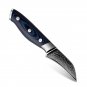 Damascus Kitchen Knives Bird's Beak Forged Paring Peeling Knife Home Fruits Tool